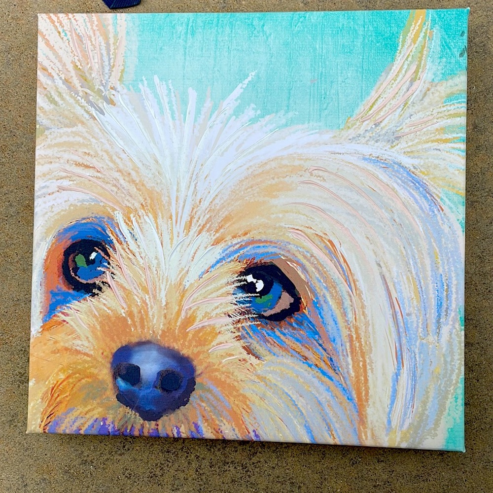 Dog picture
